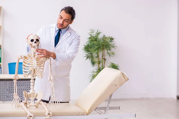 İskeleti olan genç erkek doktor. — Stok fotoğraf