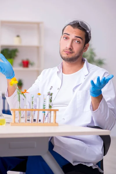 Jonge mannelijke chemicus werkzaam in het lab — Stockfoto