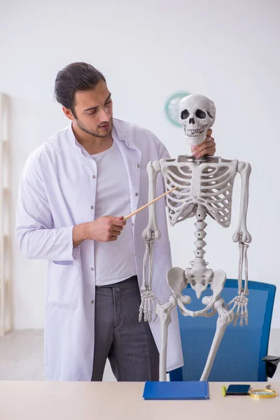 Joven médico varón demostrando esqueleto humano —  Fotos de Stock