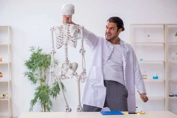 Jovem médico masculino demonstrando esqueleto humano — Fotografia de Stock