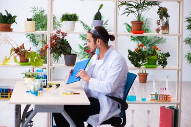 Laboratuvarda çalışan genç erkek kimyager parfümcüsü.