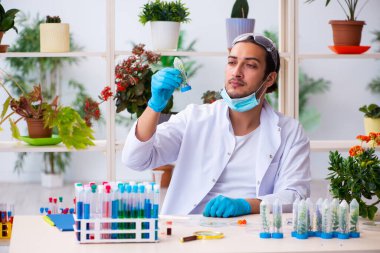 Laboratuvarda çalışan genç erkek kimyager parfümcüsü.