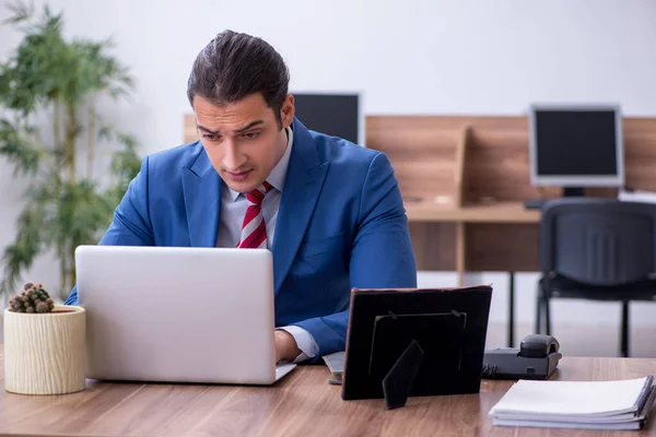 Giovane dipendente maschio di successo che lavora in ufficio — Foto Stock