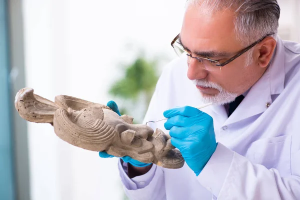 Senior archaeologist studying ancient african stonemask — Stock Photo, Image