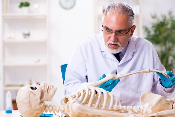 Old senior anthropologist working in the lab — Stock Photo, Image