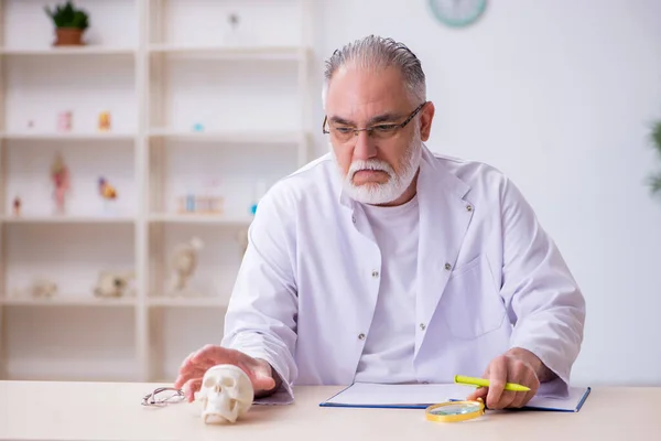 Stary męski nauczyciel anatomii demonstrujący ludzki szkielet — Zdjęcie stockowe