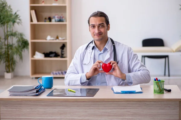 Young male doctor cardiologist holding heart model — Stock Photo, Image