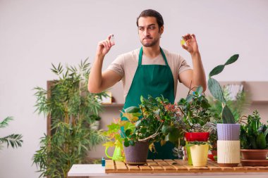 Evin içinde bitkileri olan genç bir erkek bahçıvan.