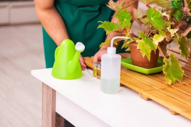 Evin içinde bitkileri olan genç bir erkek bahçıvan.