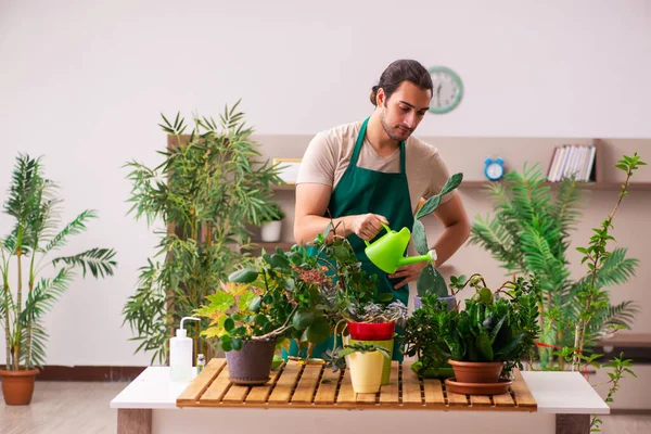 Giovane giardiniere maschio con piante al chiuso — Foto Stock