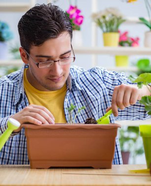 Çiçekçide çalışan genç bir adam.