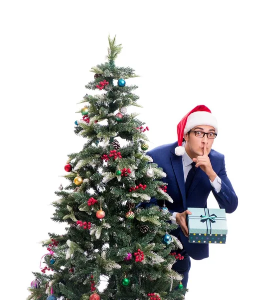 Podnikatel zdobení vánoční stromeček izolované na bílém — Stock fotografie