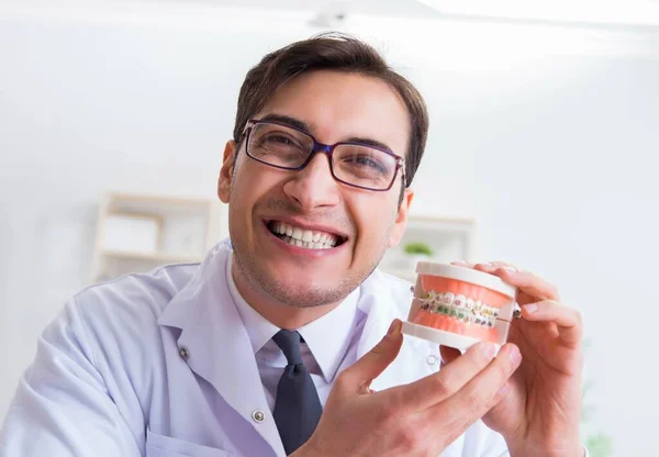 Lustiger Zahnarzt mit Zahnmodell im Krankenhaus — Stockfoto