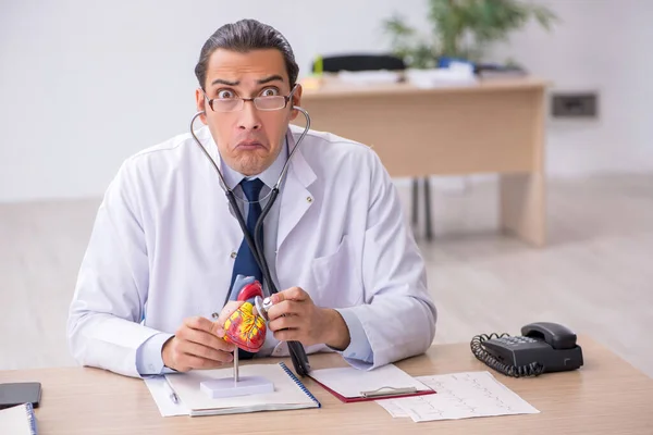 Young male doctor cardiologist listening heart model with stetho — Stock Photo, Image