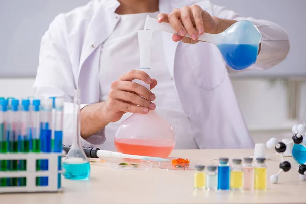 Joven químico masculino trabajando en el laboratorio —  Fotos de Stock