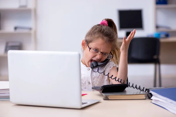 Contabilista engraçado menina trabalhando no escritório — Fotografia de Stock