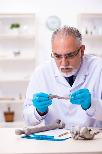 Antiguo paleontólogo senior trabajando en el laboratorio — Foto de Stock