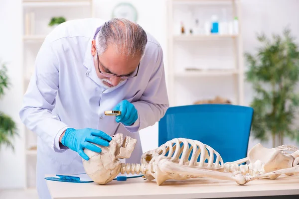 Oude senior antropoloog werkzaam in het lab — Stockfoto