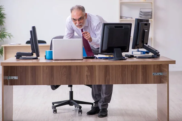 Old male boss sitting at desktop in the office — Stock Photo, Image