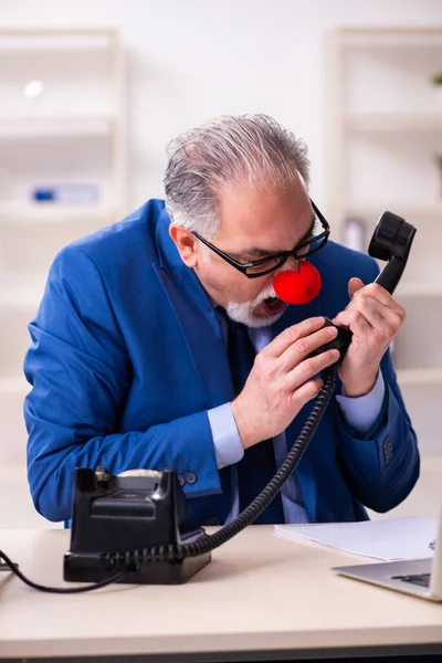 Altunternehmer-Clown arbeitet im Büro — Stockfoto