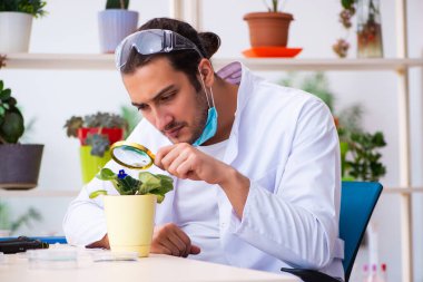 Laboratuvarda çalışan genç erkek kimyager parfümcüsü.