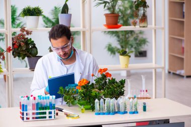 Laboratuvarda çalışan genç erkek kimyager parfümcüsü.