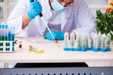 Laboratuvarda çalışan genç erkek kimyager parfümcüsü.