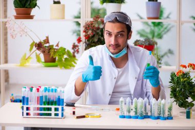 Laboratuvarda çalışan genç erkek kimyager parfümcüsü.