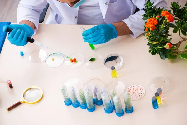 Jovem perfumista químico masculino que trabalha no laboratório — Fotografia de Stock