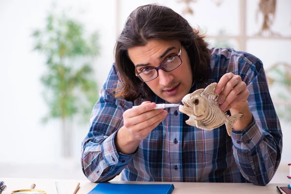 Молодой преподаватель-палеонтолог в классе — стоковое фото