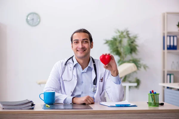 Mladý lékař kardiolog drží srdeční model — Stock fotografie