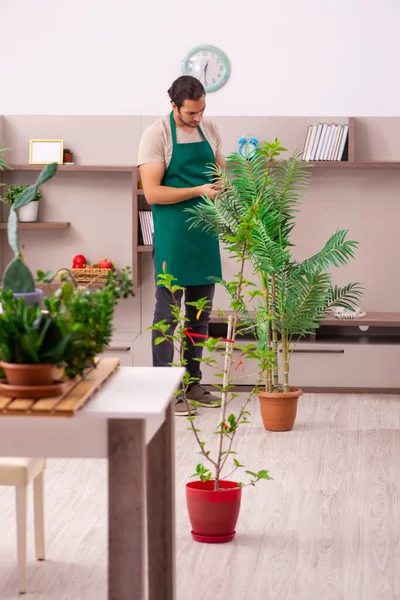 Evin içinde bitkileri olan genç bir erkek bahçıvan.