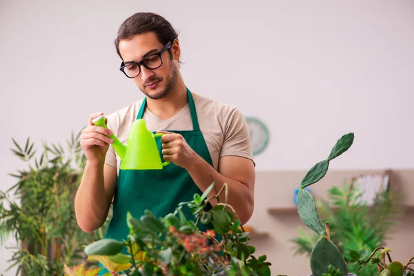 Giovane giardiniere maschio con piante al chiuso — Foto Stock