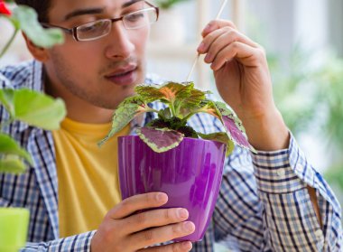 Çiçekçide çalışan genç bir adam.