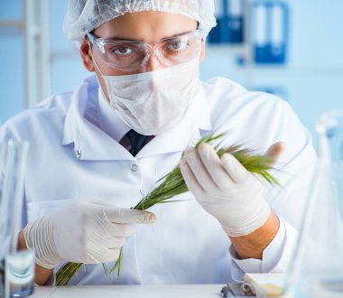 Laboratuvarda bilim adamıyla biyoteknoloji kavramı