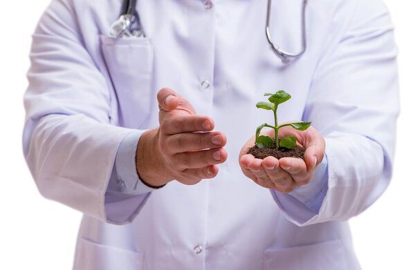 Scientist with green seedling in glass isolated on white
