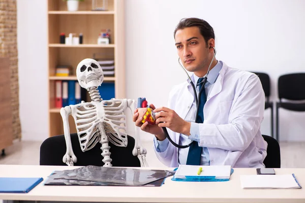 Jonge mannelijke arts cardioloog en skelet patiënt in de kliniek — Stockfoto