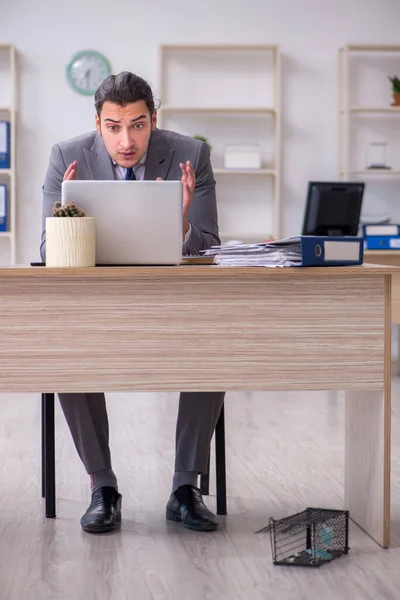 Jeune employé masculin et piège à souris dans le bureau — Photo