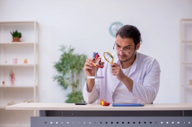 Genç erkek kardiyolog insan kalp yapısını açıklıyor