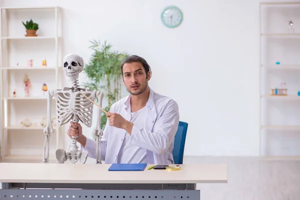 Jovem médico masculino demonstrando esqueleto humano — Fotografia de Stock