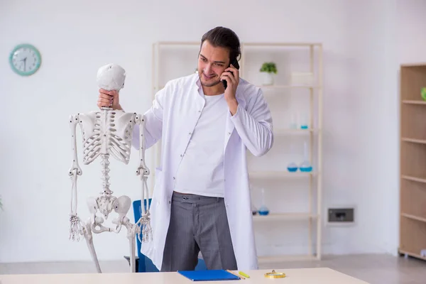 Ung manlig läkare som visar mänskligt skelett — Stockfoto