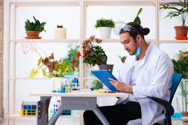 Laboratuvarda çalışan genç erkek kimyager parfümcüsü.