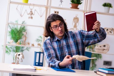 Sınıftaki genç erkek paleontolog.