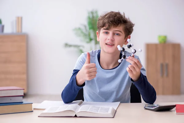 Colegial mirando el modelo molecular en casa — Foto de Stock