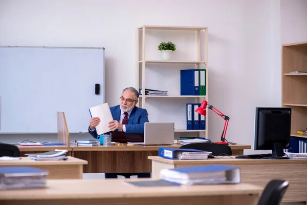 Old male boss employee working in the office — Stock Photo, Image