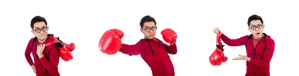 Boxer engraçado isolado em branco — Fotografia de Stock