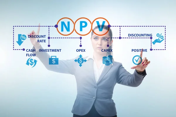 NPVの概念- Net Present Value — ストック写真
