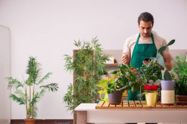 Evin içinde bitkileri olan genç bir erkek bahçıvan.