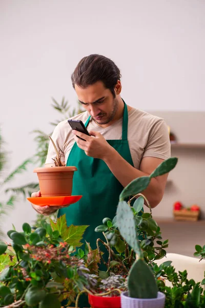 Giovane giardiniere maschio con piante al chiuso — Foto Stock