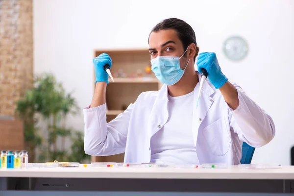 Jovem químico do sexo masculino trabalhando no laboratório durante a pandemia — Fotografia de Stock